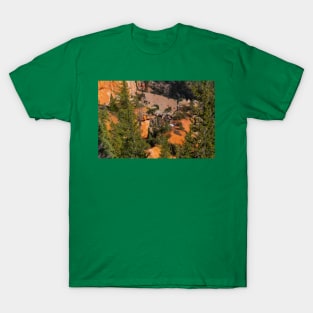 Bryce Canyon View 23 T-Shirt